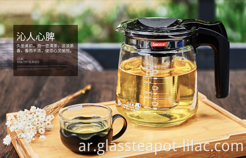 Glass Teapot 8